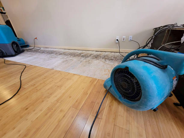 Professional Ceiling Water Damage Repair technician working in Finksburg, MD
